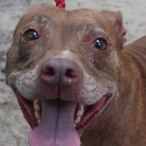 Meet your Posher, Katelyn